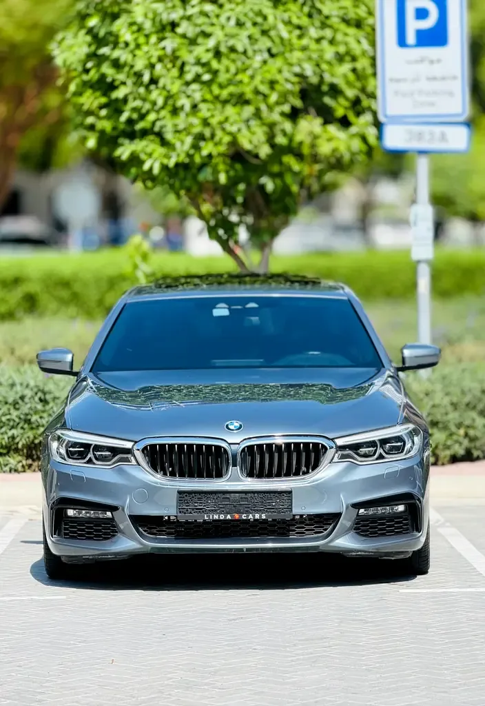 BMW 5 series 530d Steptronic (258 hp) - 2