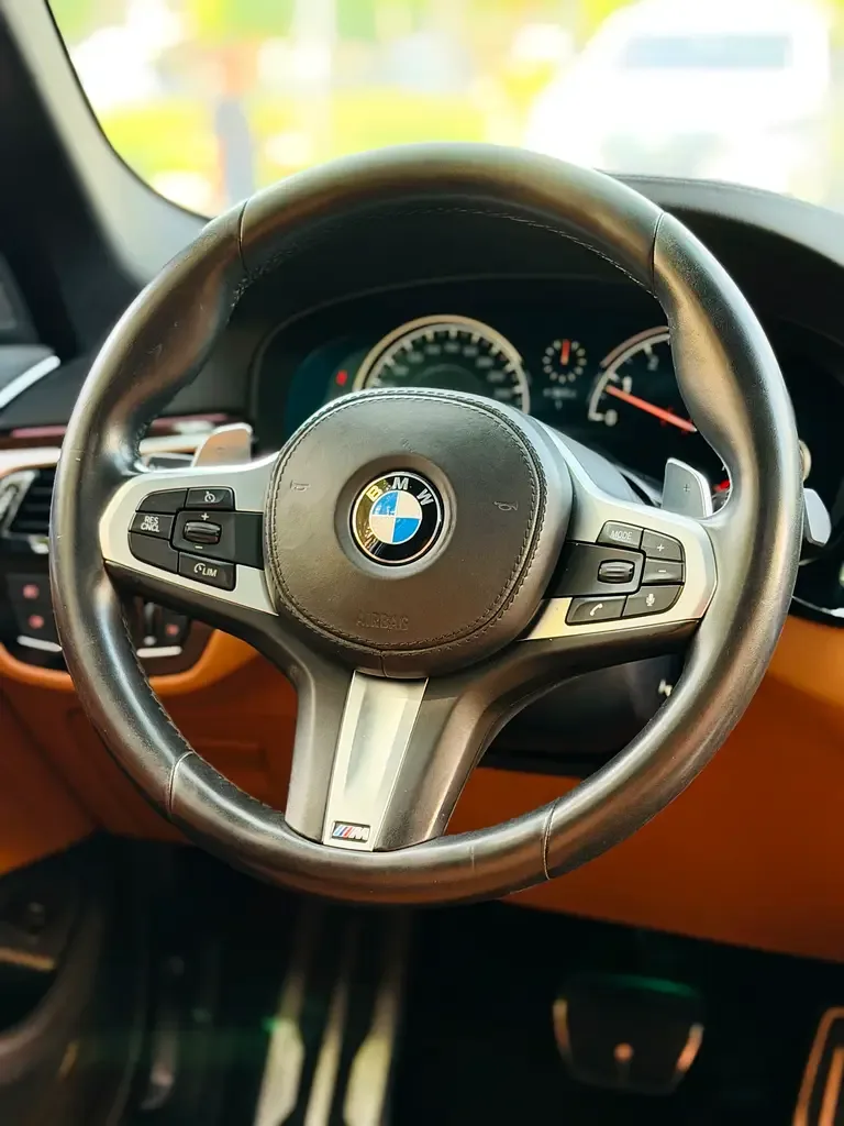 BMW 5 series 530d Steptronic (258 hp) - 15