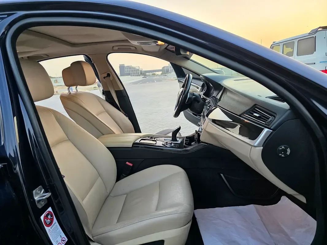 BMW 5 series 530i Steptronic (272 حصان) - 17