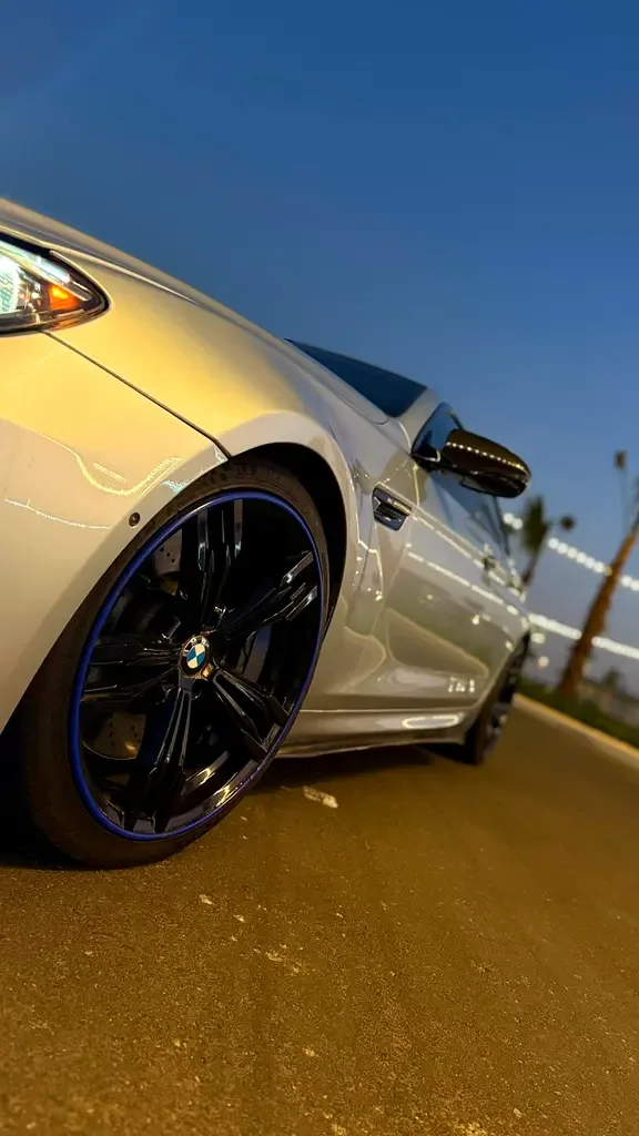 BMW M6 4.4 AMT (600 hp) - 5