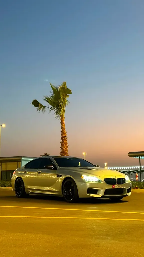 BMW M6 4.4 AMT (600 hp) - 15