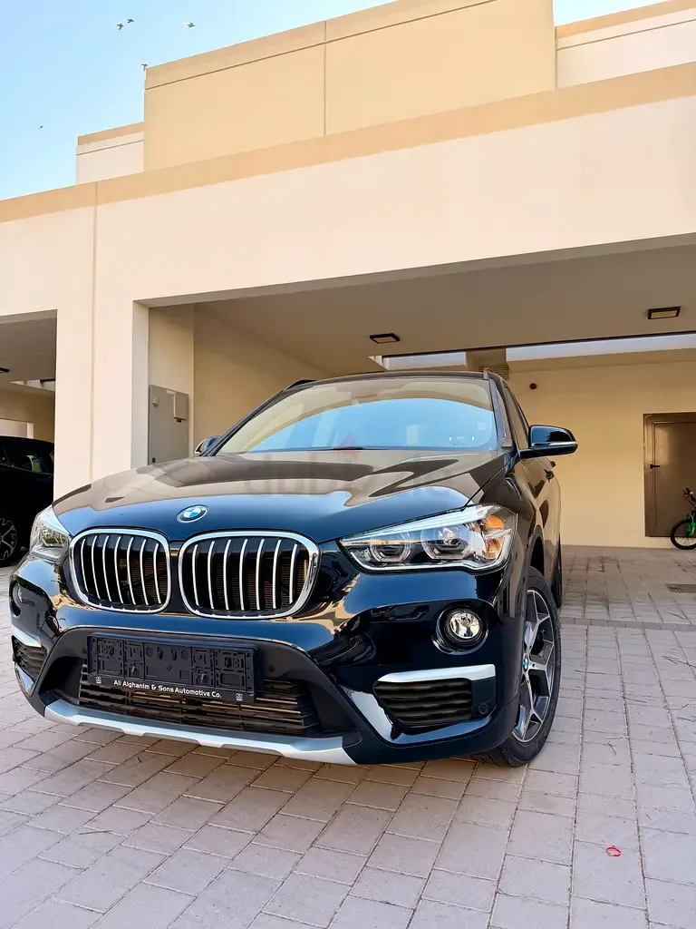 BMW X1 20i sDrive Steptronic (192 hp) - 4