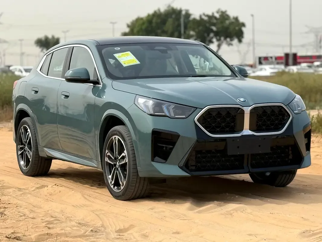 BMW X2 2.0 AMT (204 hp)