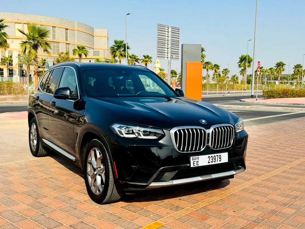 BMW X3 2.0 AT (252 hp) - 3
