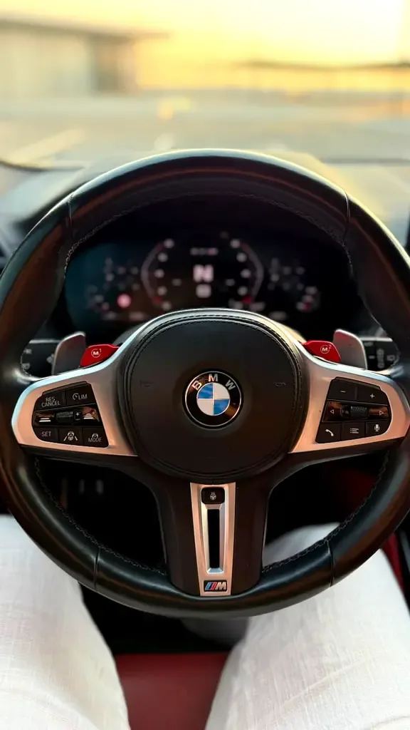 BMW X3 3.0 AT AWD (387 hp) - 20