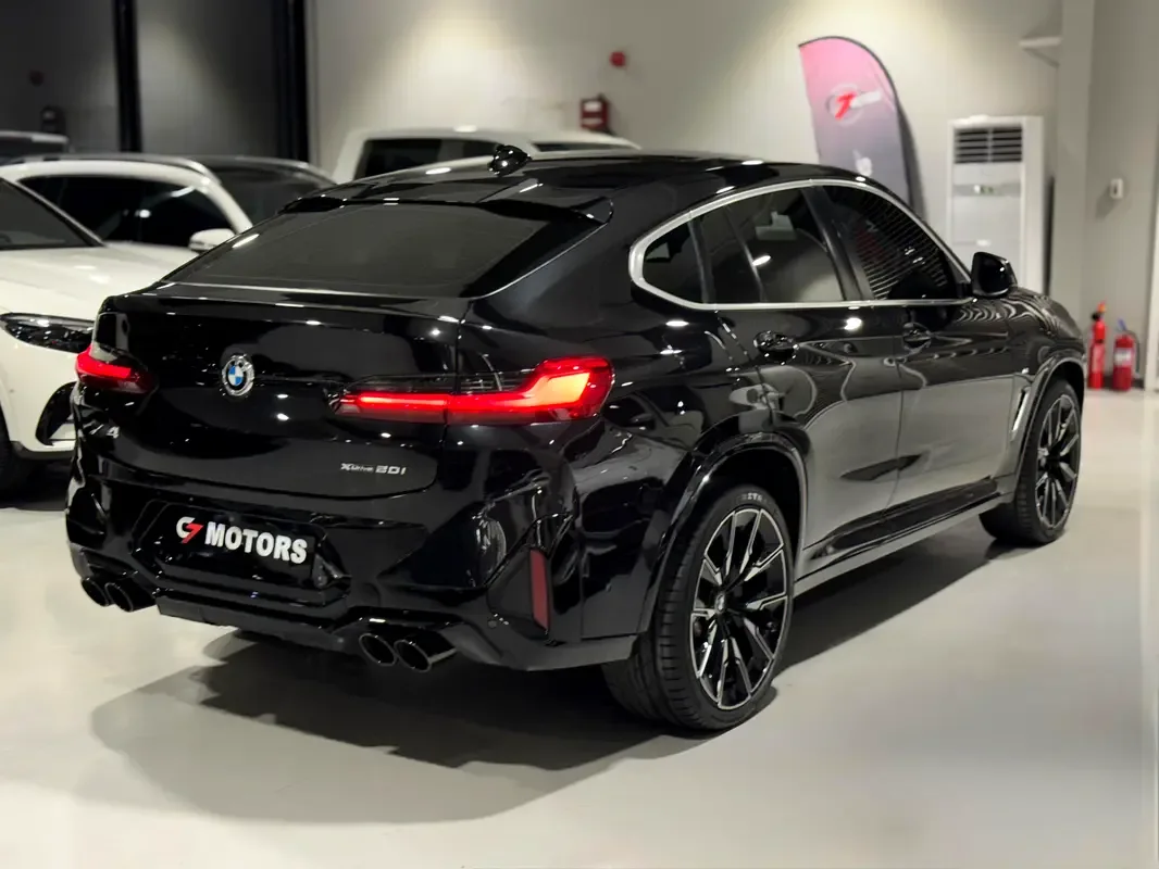 BMW X4 2.0 AT 4WD (184 hp) - 2