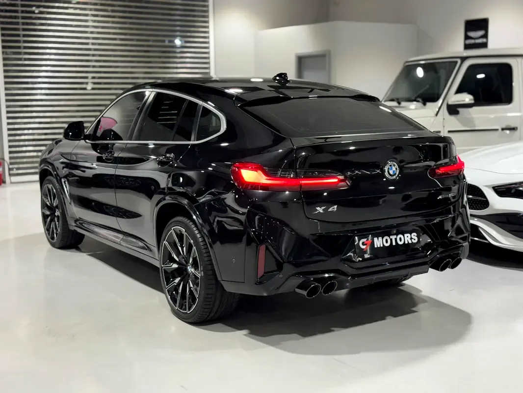 BMW X4 2.0 AT 4WD (184 hp) - 7