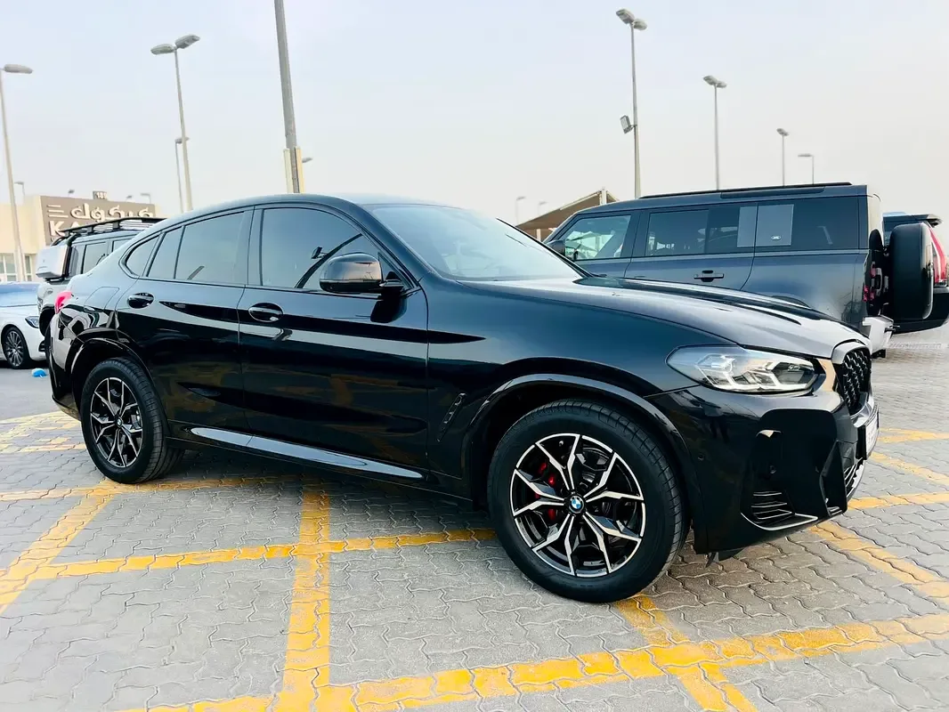 BMW X4 2.0 AT 4WD (249 hp)