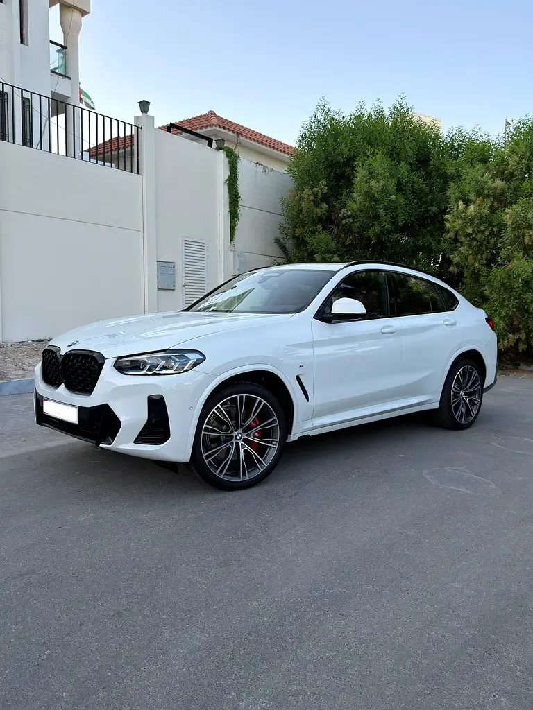 BMW X4 2.0 AT 4WD (249 hp)