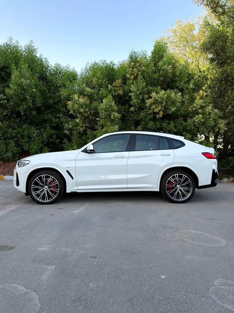 BMW X4 2.0 AT 4WD (249 حصان) - 5