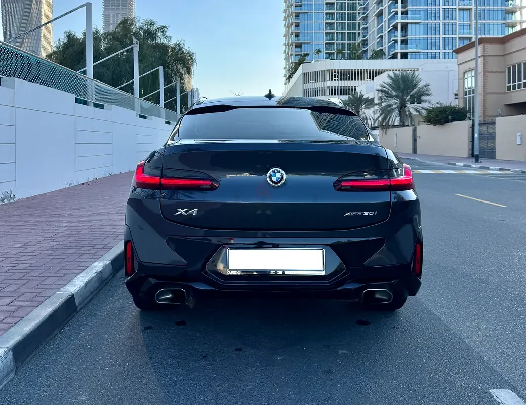 BMW X4 2.0 AT 4WD (249 hp) - 4