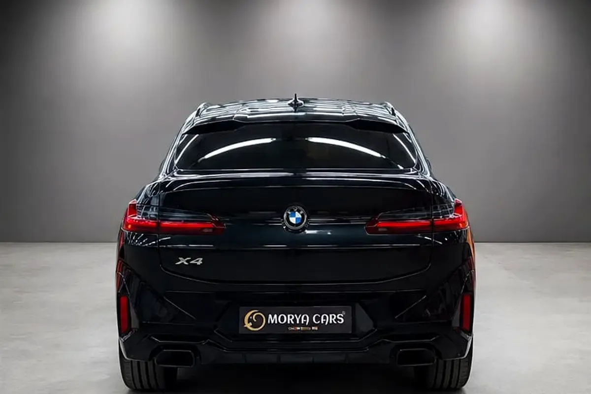 BMW X4 2.0 AT 4WD (249 hp) - 7