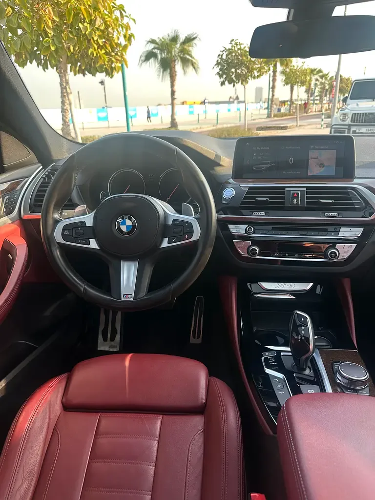 BMW X4 xDrive30i Steptronic (252 hp) - 12