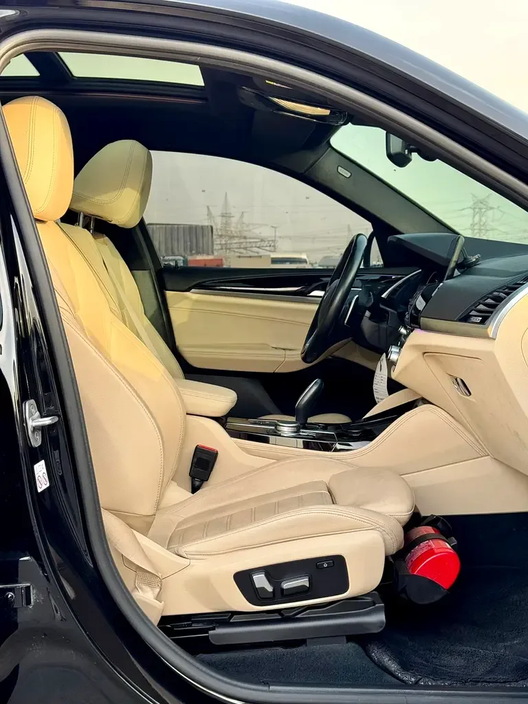 BMW X4 xDrive30i Steptronic (252 hp) - 6