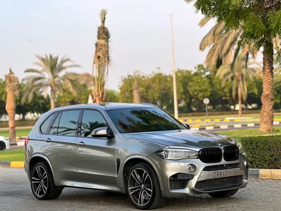BMW X5 4.4 AT (450 حصان) - 3