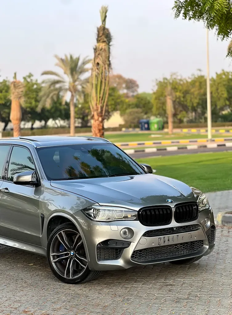 BMW X5 4.4 AT (450 حصان) - 9
