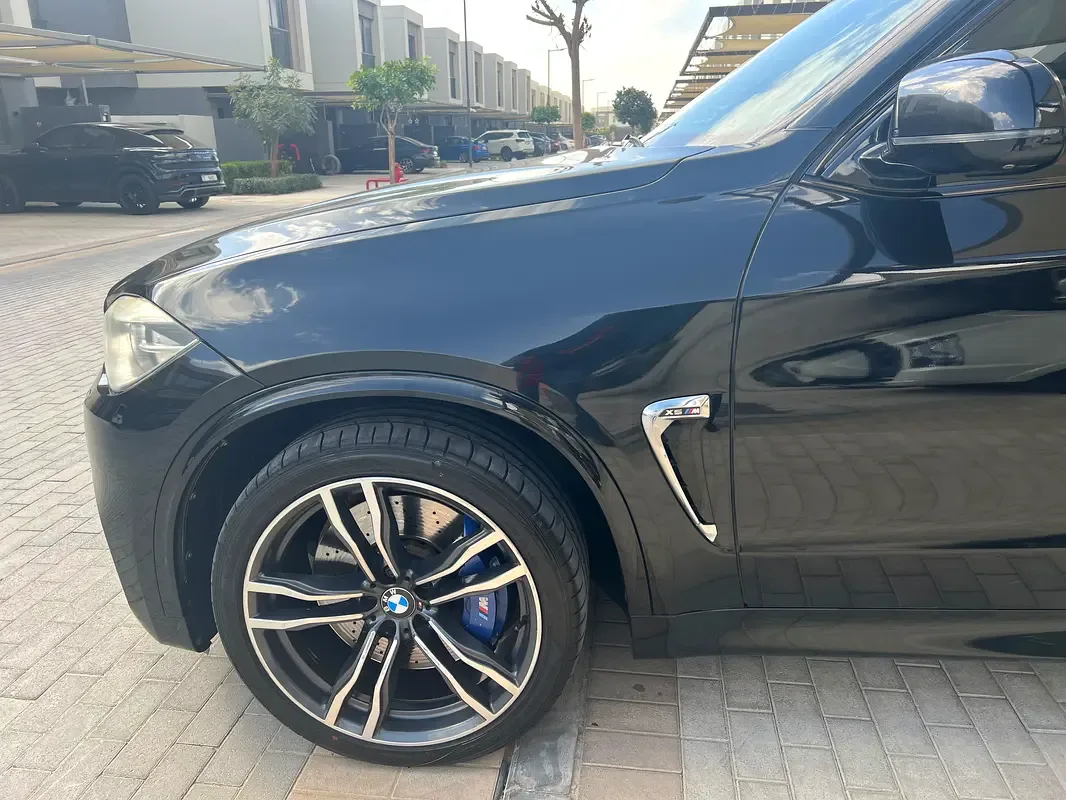 BMW X5 4.4 AT (450 hp) - 2