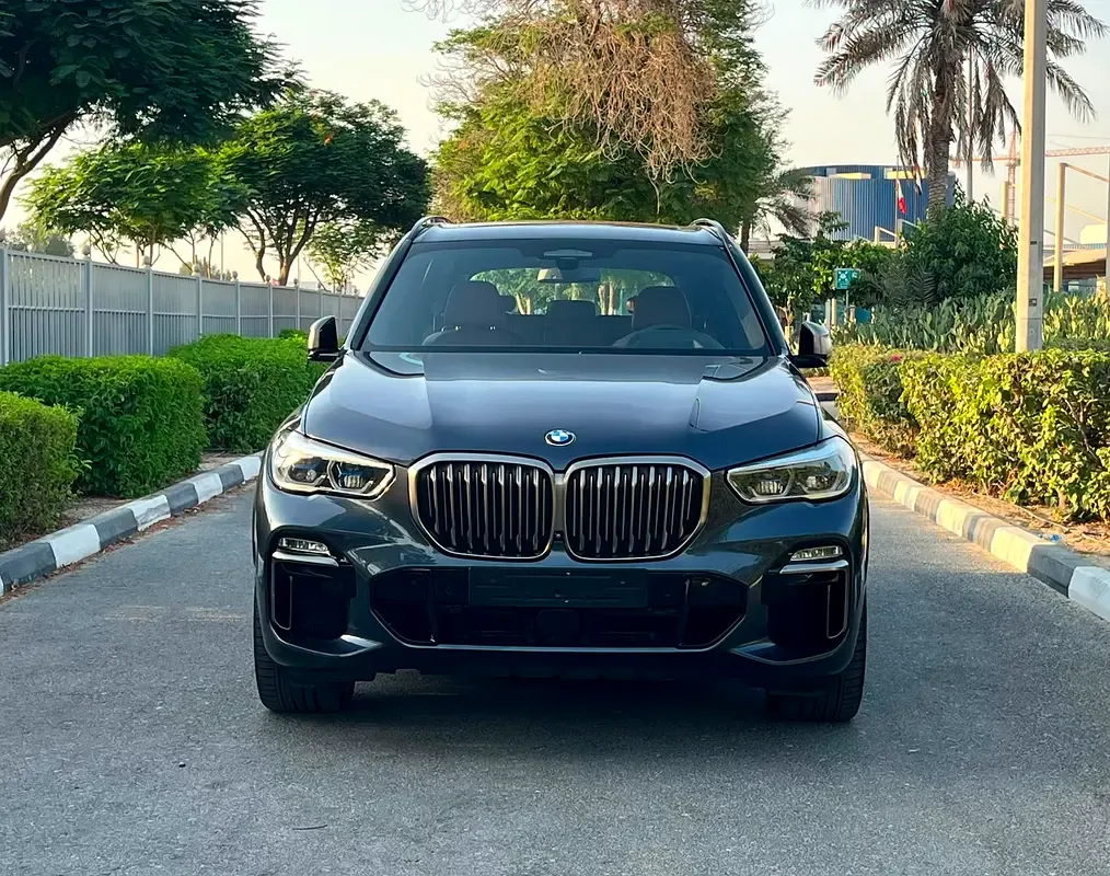 BMW X5 M50i Steptronic xDrive (530 حصان) - 2