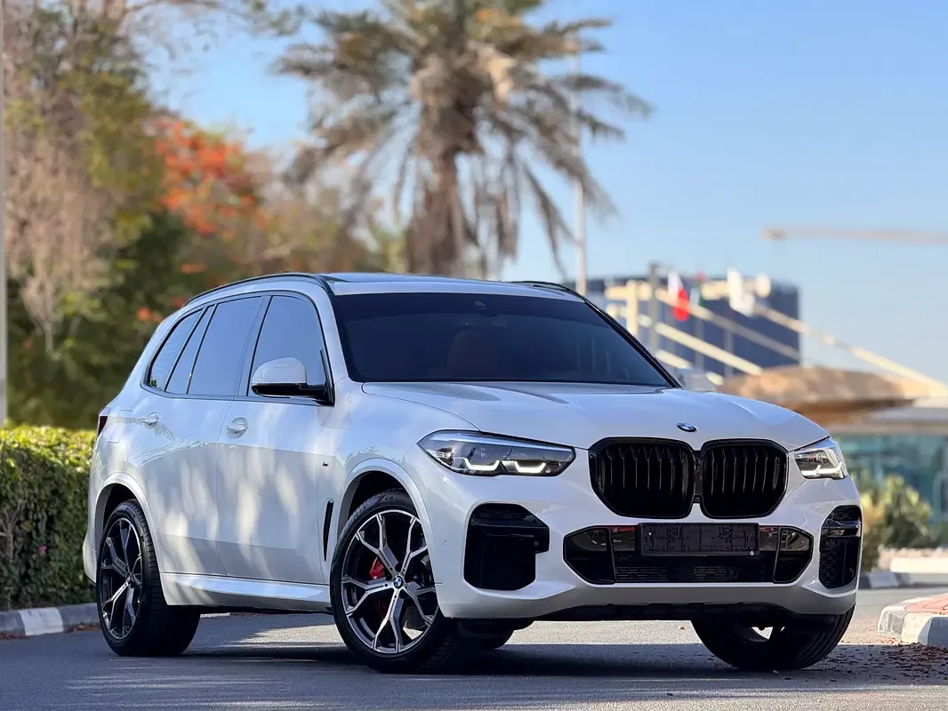 BMW X5 xDrive40i Steptronic (340 حصان) - 5