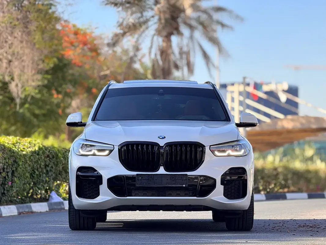 BMW X5 xDrive40i Steptronic (340 حصان) - 3
