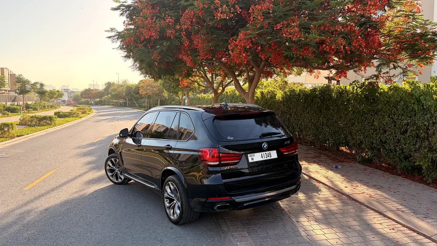 BMW X5 xDrive50i Steptronic (450 حصان) - 3