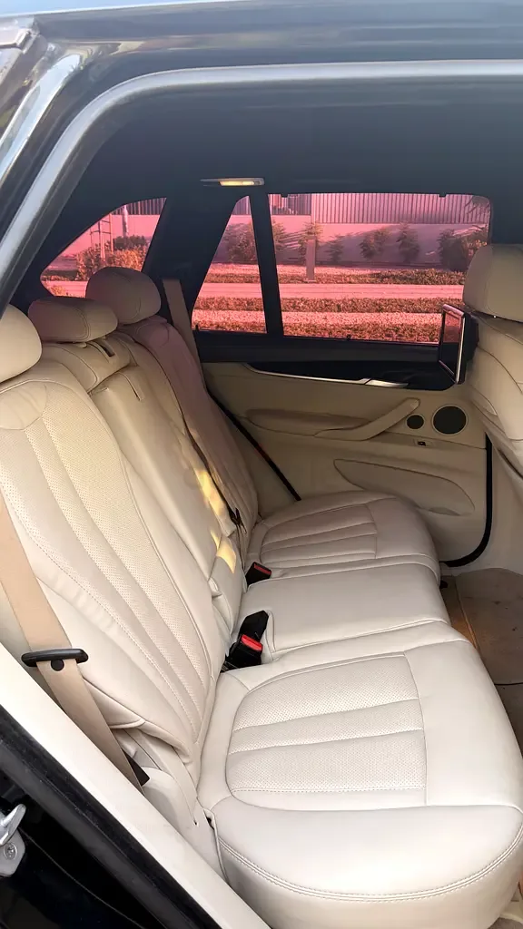BMW X5 xDrive50i Steptronic (450 حصان) - 10