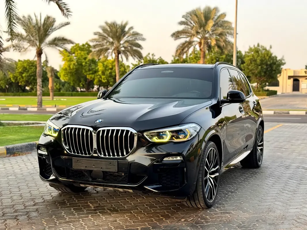 BMW X5 xDrive50i Steptronic (462 حصان) - 4