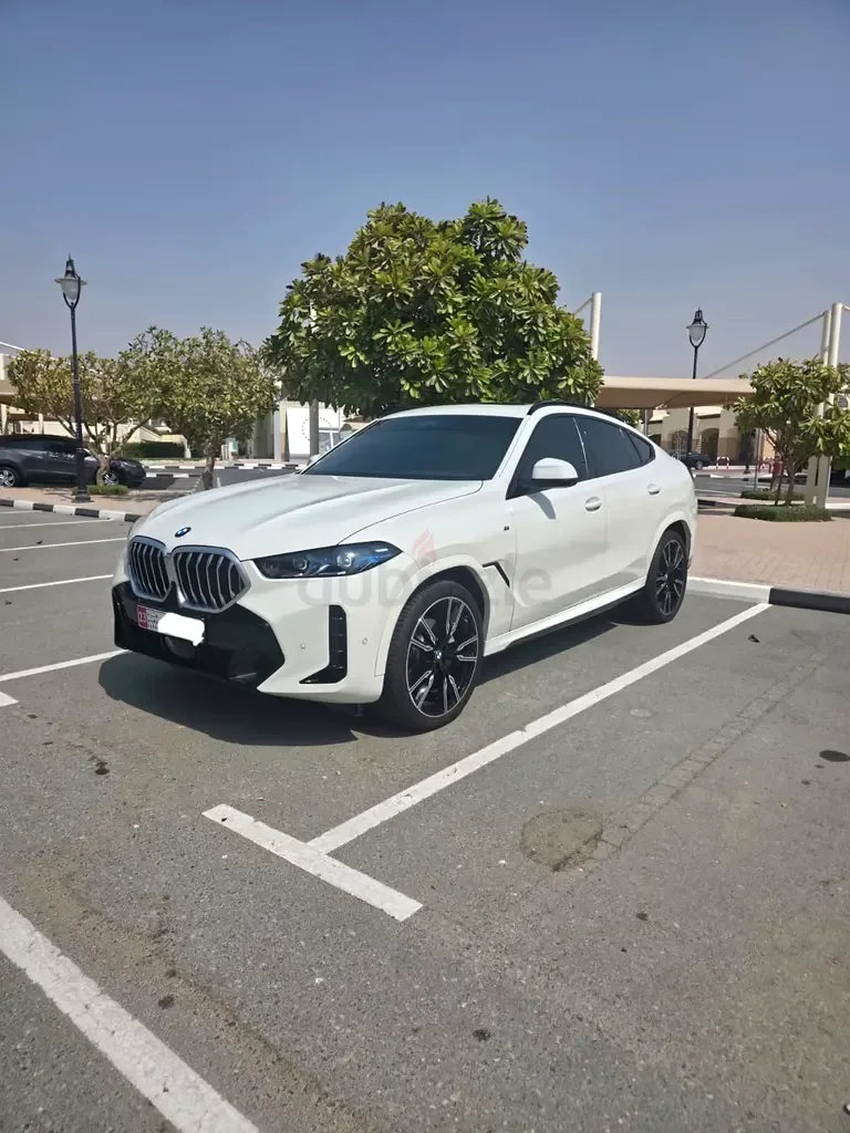 BMW X6 3.0 AT 4WD (380 hp)