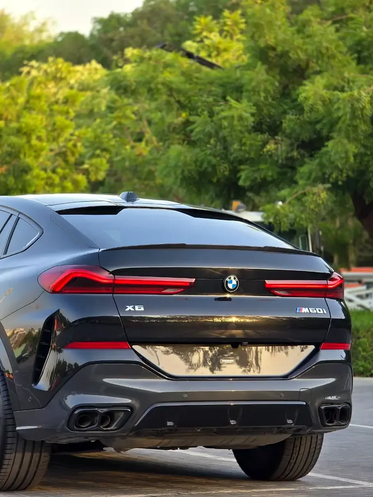 BMW X6 4.4 AT (530 حصان) - 8
