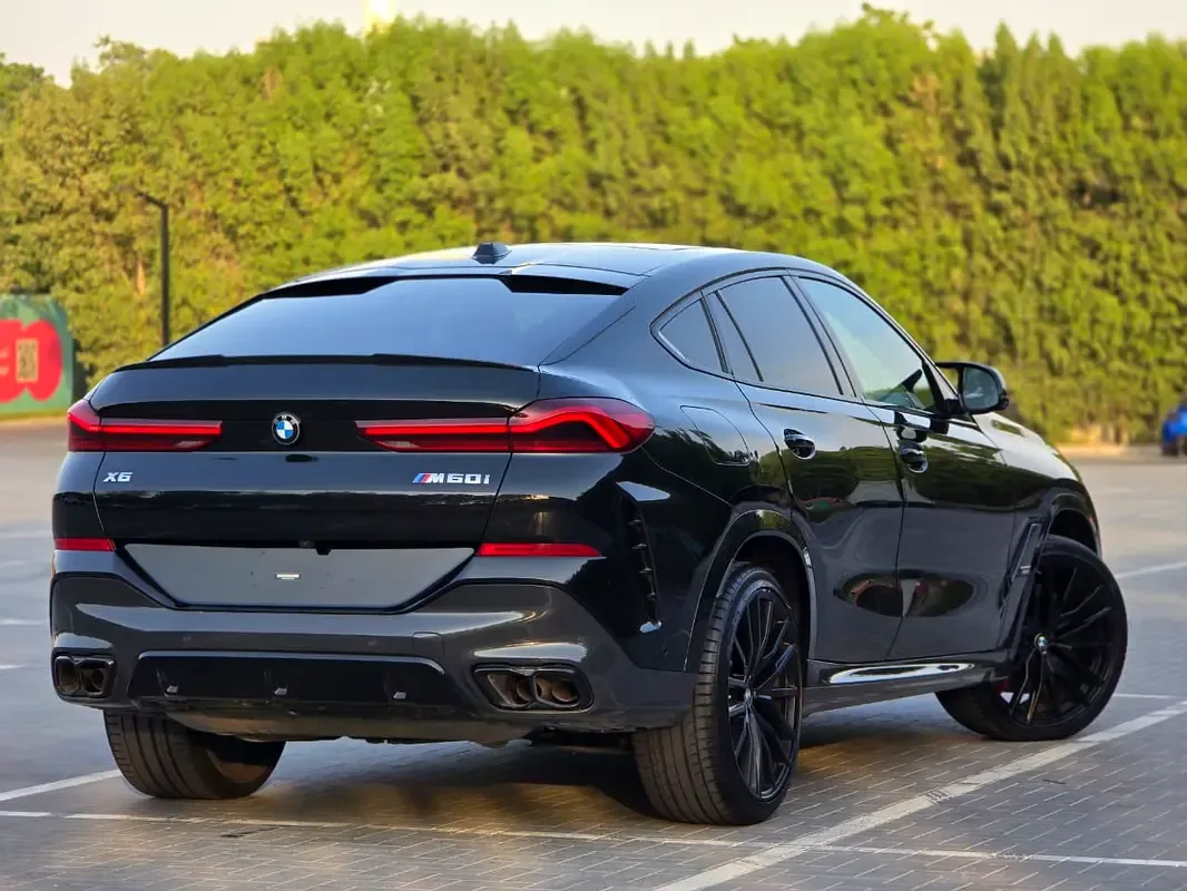 BMW X6 4.4 AT (530 حصان) - 7