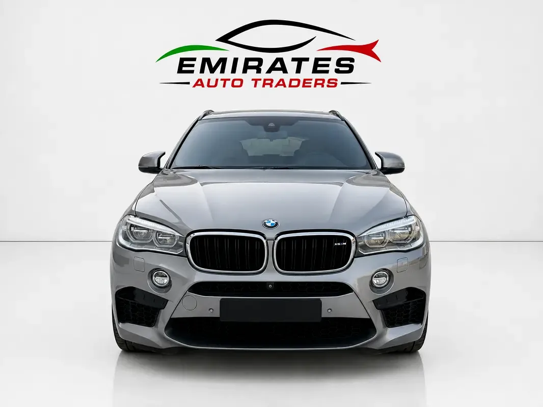 BMW X6 4.4 AT (530 hp) - 2