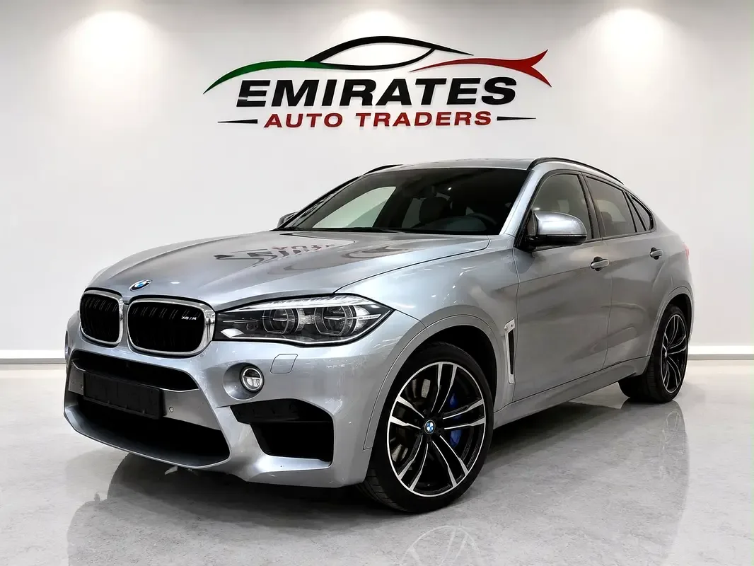 BMW X6 4.4 AT (530 hp)