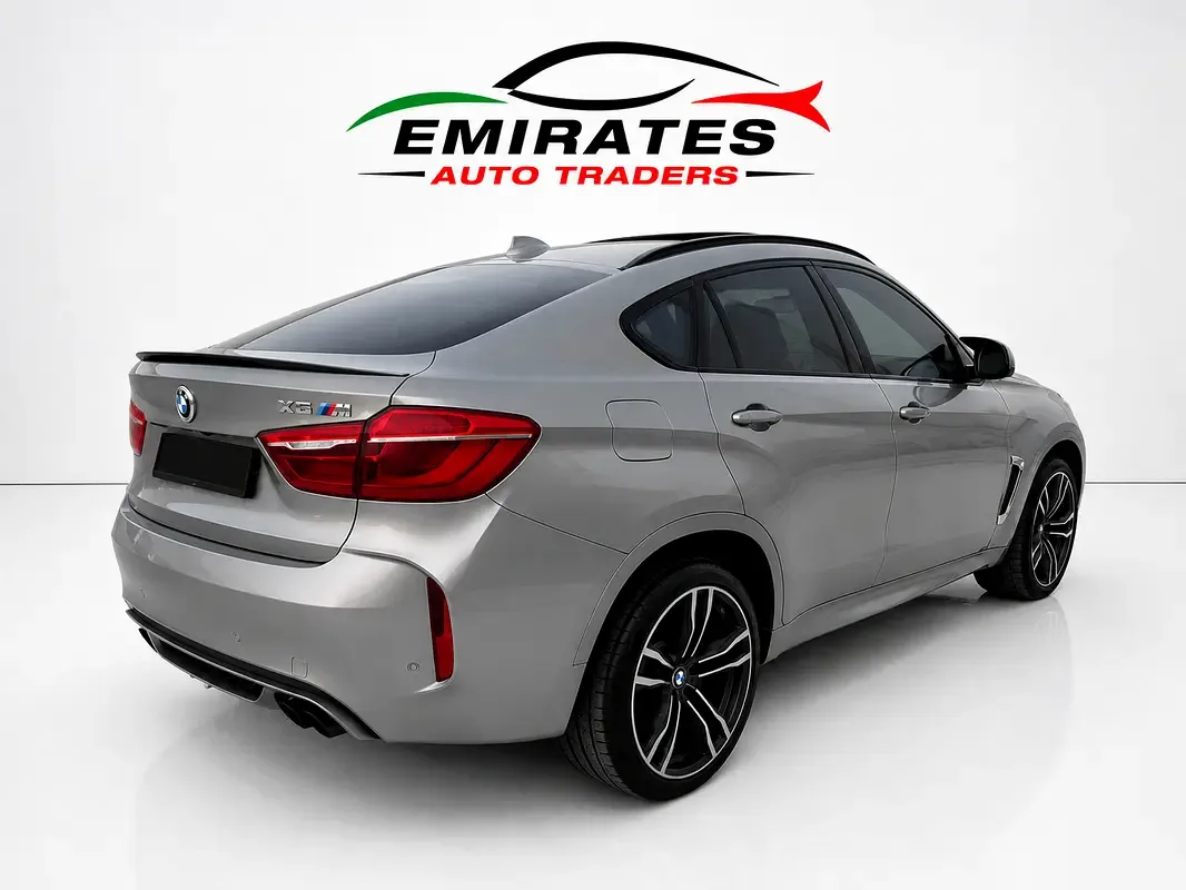 BMW X6 4.4 AT (530 hp) - 4