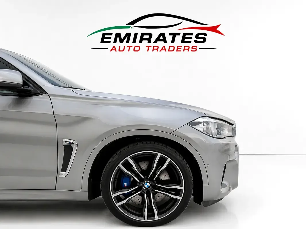 BMW X6 4.4 AT (530 hp) - 5