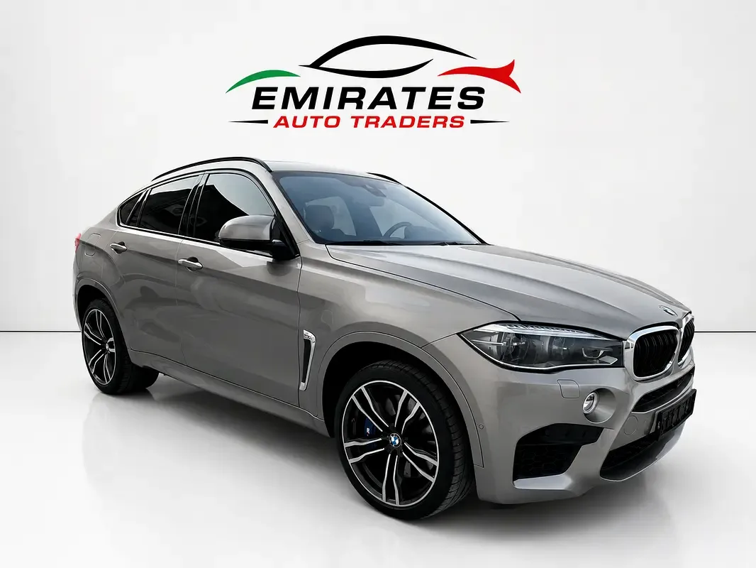 BMW X6 4.4 AT (530 hp) - 3