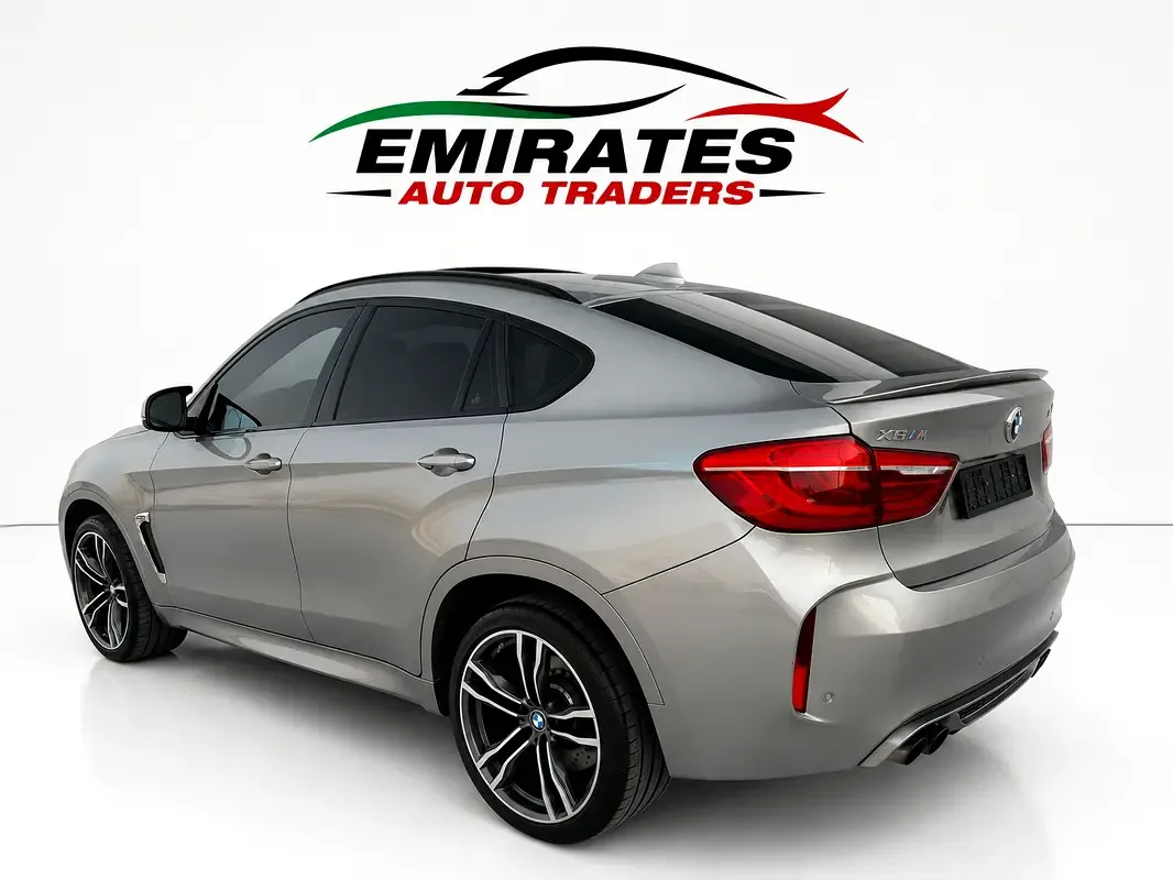 BMW X6 4.4 AT (530 hp) - 7
