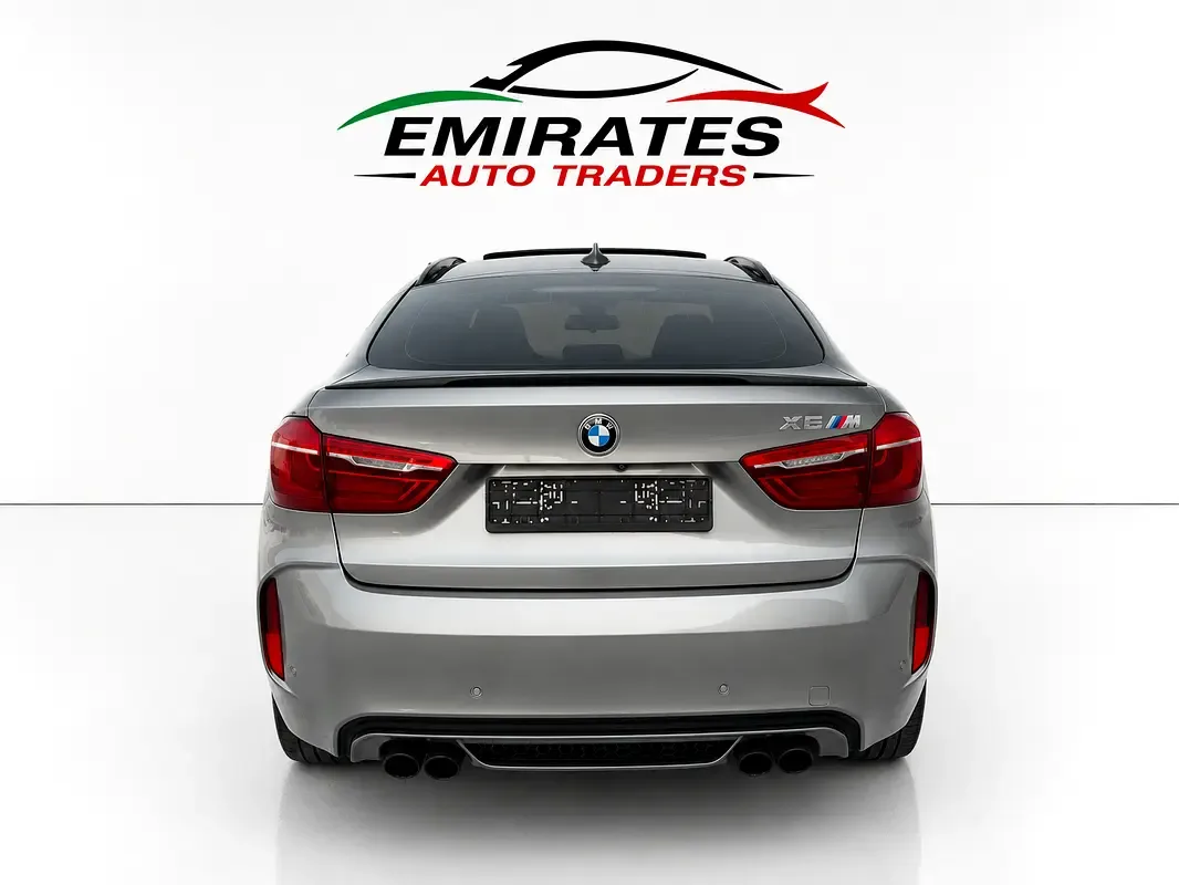 BMW X6 4.4 AT (530 hp) - 6