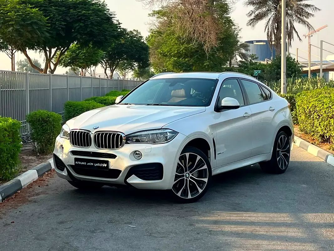 BMW X6 M 4.4 AT (575 hp)