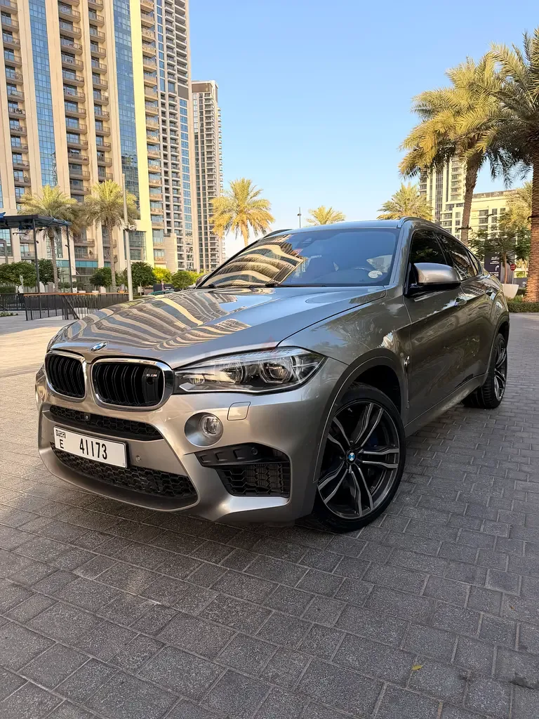 BMW X6 M 4.4 AT (575 hp) - 2