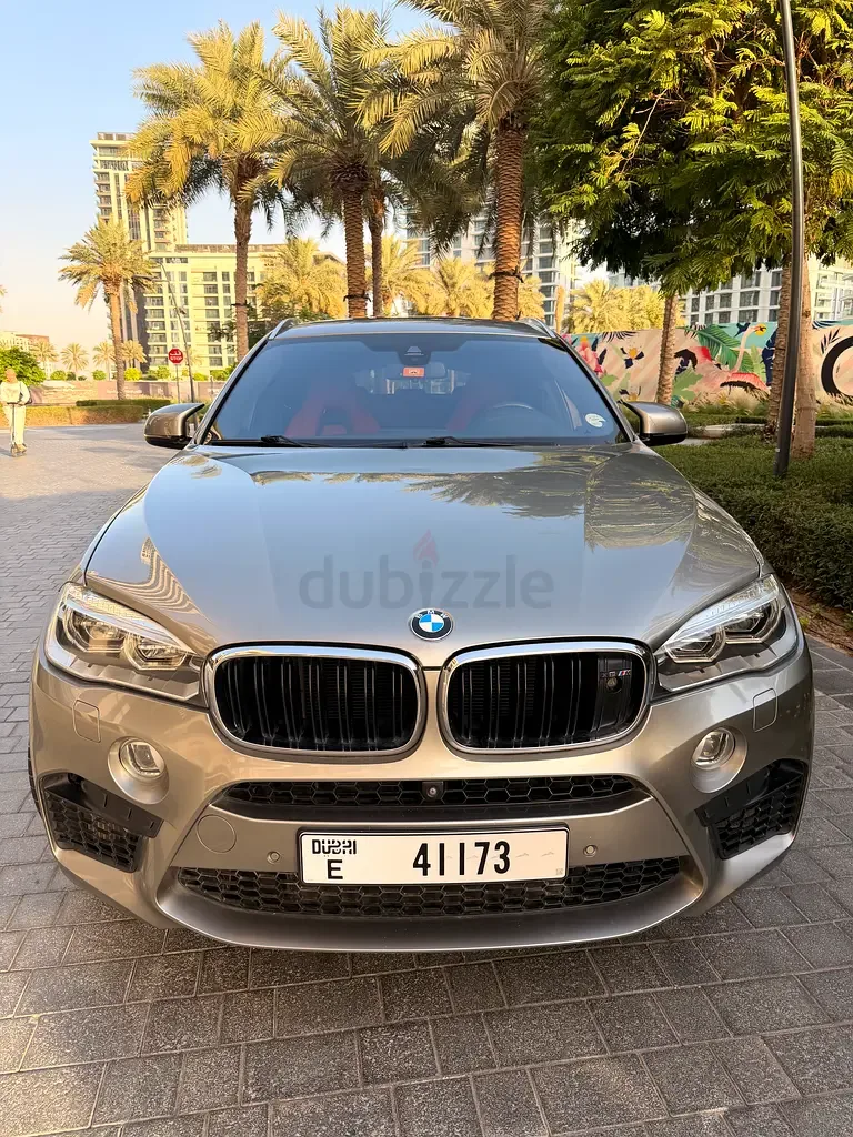 BMW X6 M 4.4 AT (575 hp)