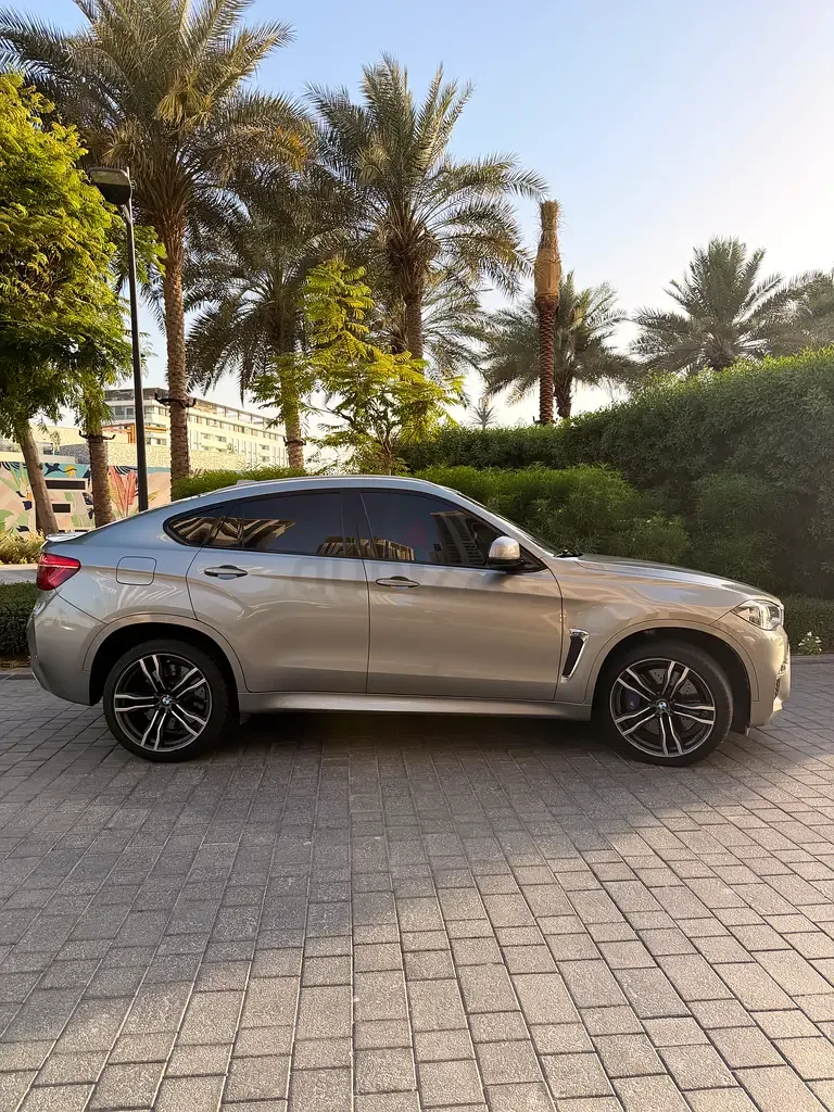 BMW X6 M 4.4 AT (575 hp) - 4