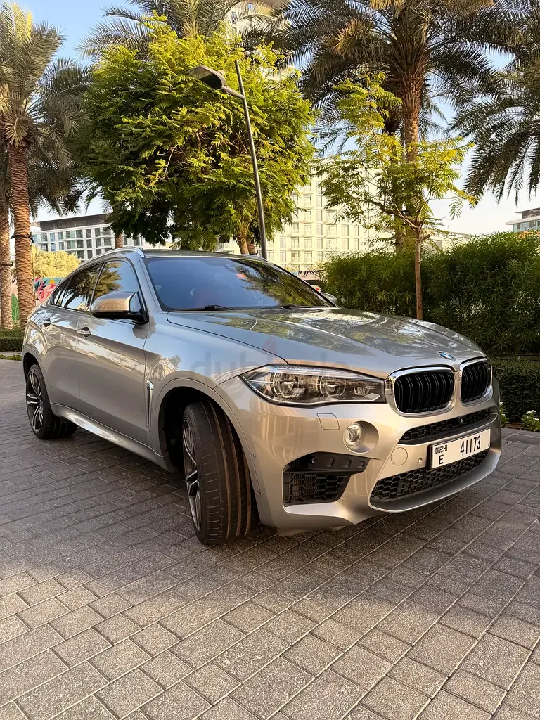 BMW X6 M 4.4 AT (575 hp) - 3