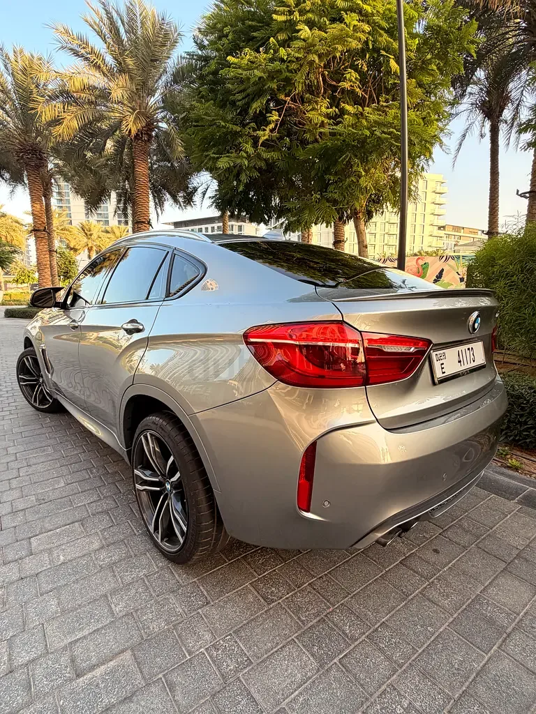 BMW X6 M 4.4 AT (575 hp) - 6