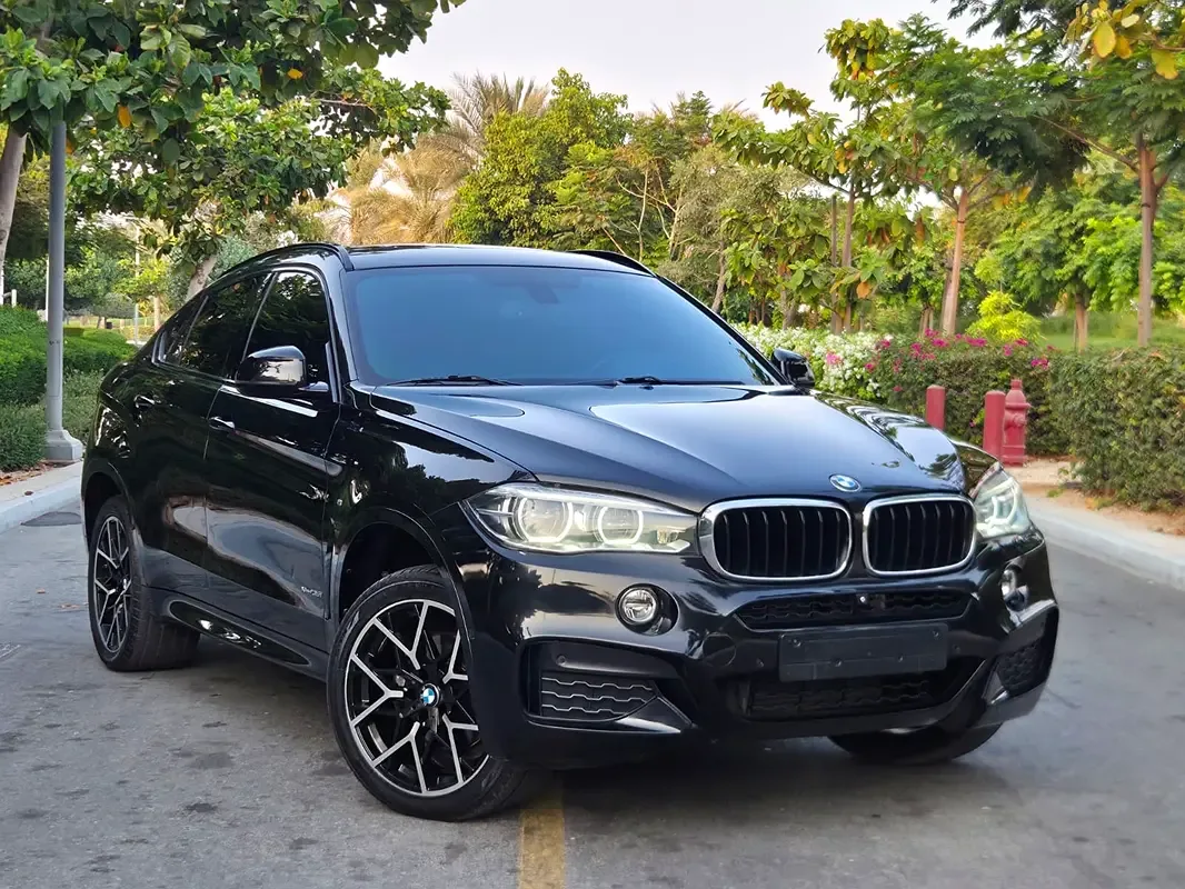 BMW X6 M 4.4 xDrive Steptronic (575 hp)