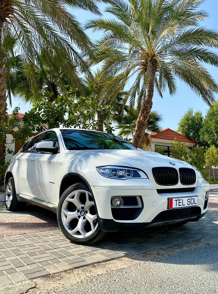 BMW X6 M 4.4 xDrive Steptronic (575 حصان) - 10