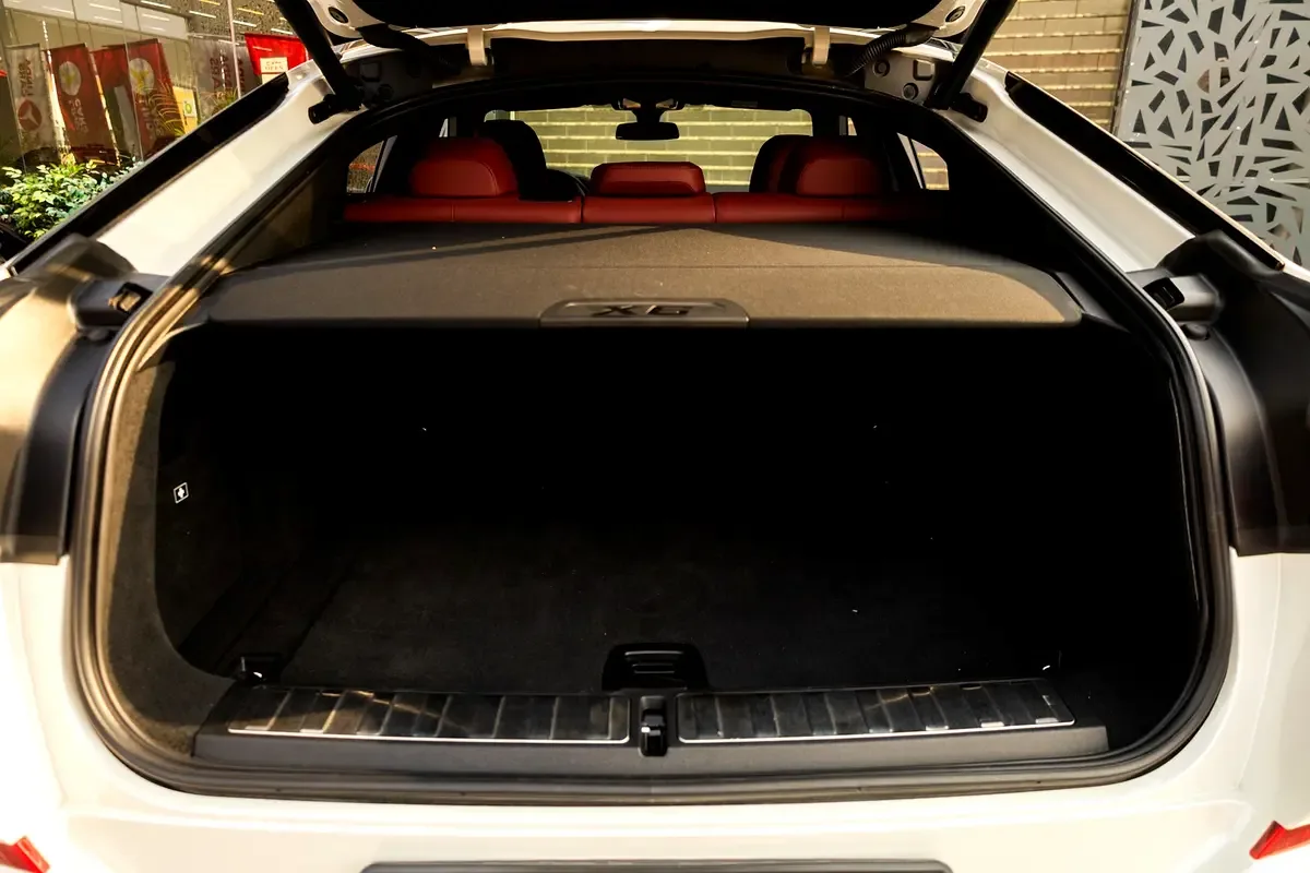 BMW X6 xDrive40i Steptronic (340 hp) - 9