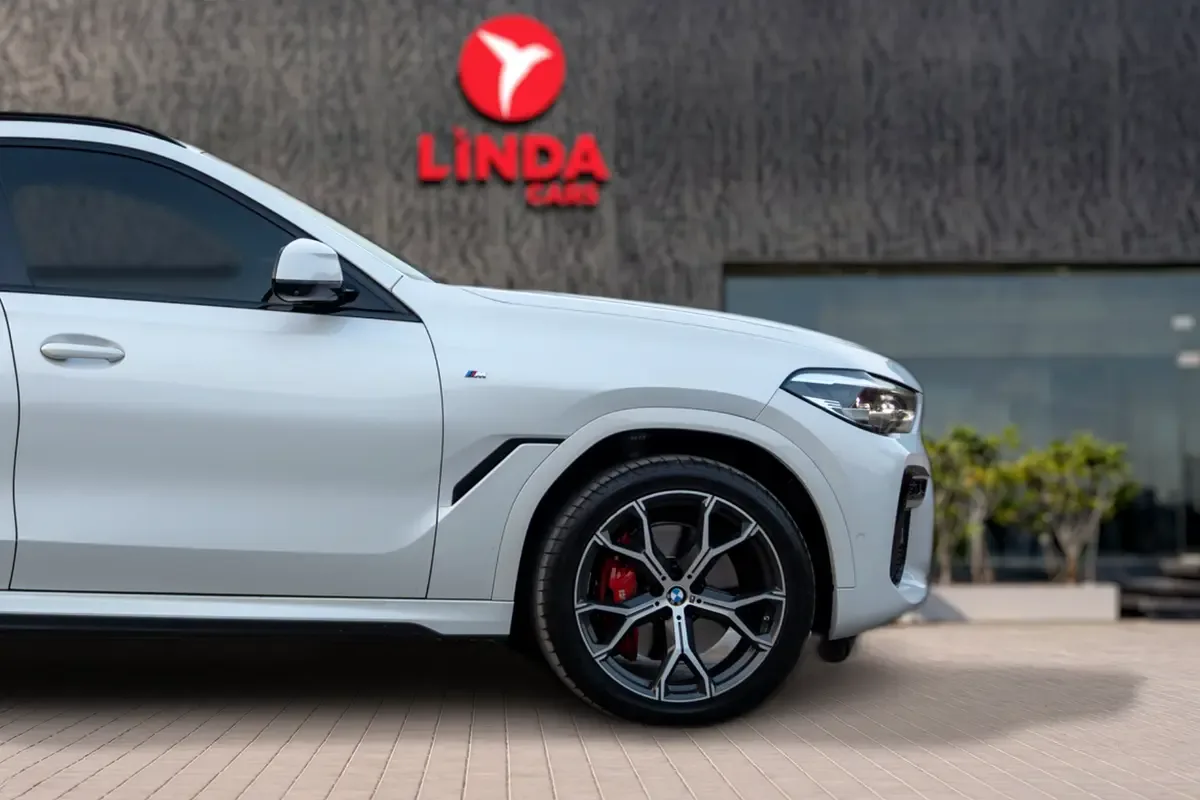 BMW X6 xDrive40i Steptronic (340 hp) - 8