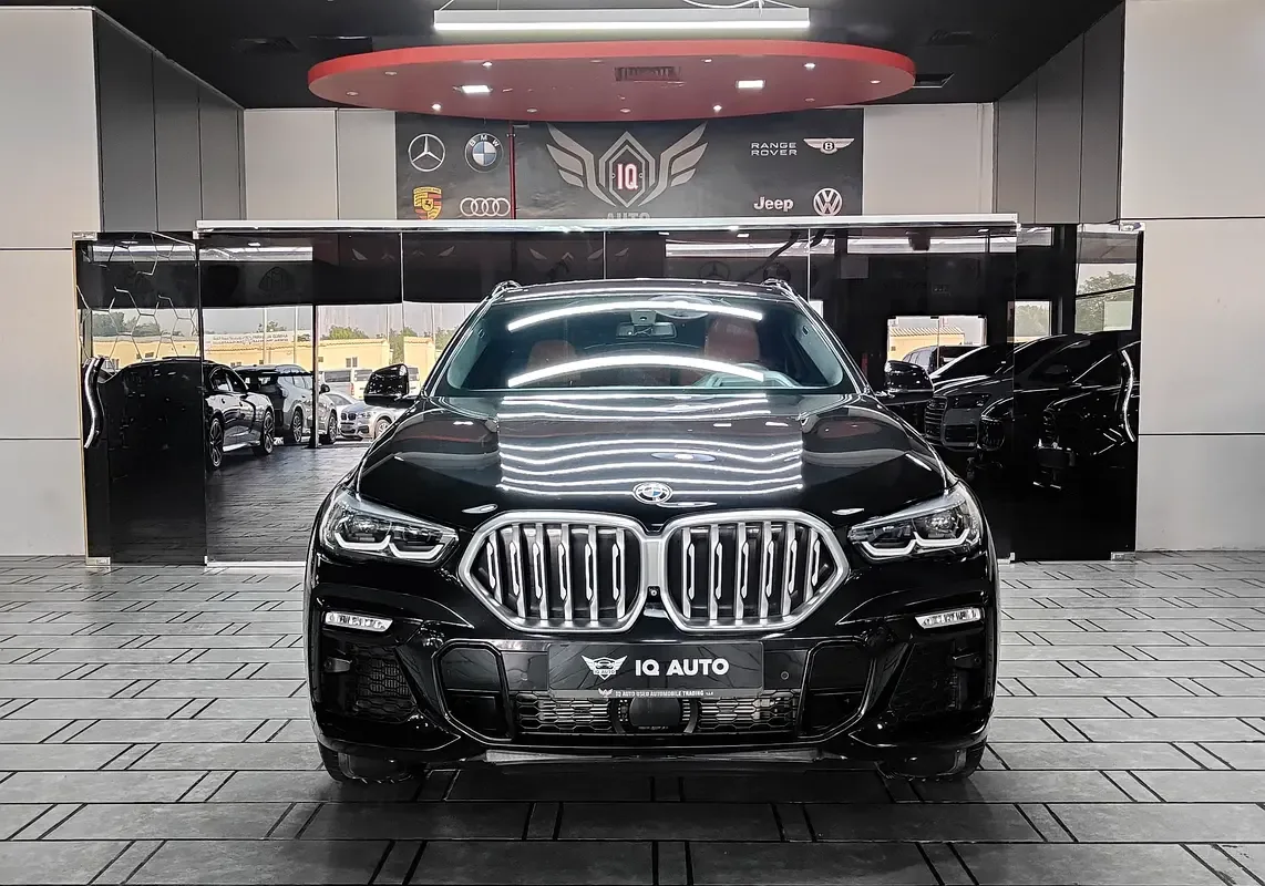 BMW X6 xDrive40i Steptronic (340 hp) - 2