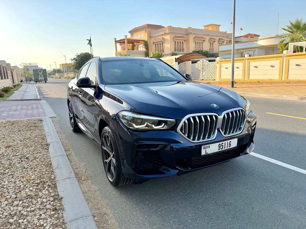 BMW X6 xDrive40i Steptronic (340 hp) - 3