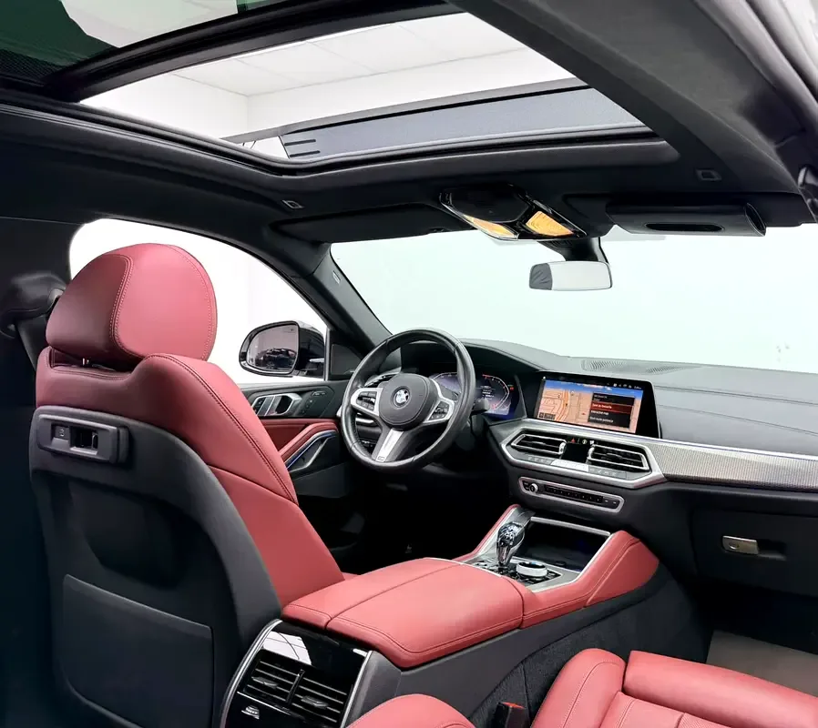 BMW X6 xDrive40i Steptronic (340 حصان) - 12